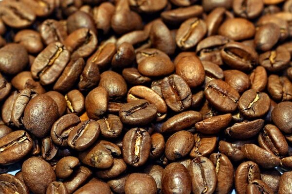 bean-1154663_640-600x400